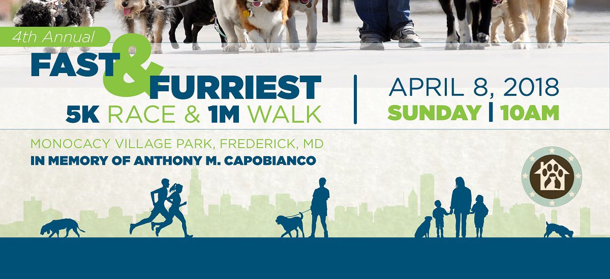 Operation Paws for Homes - Fast & Furriest 4th.jpg